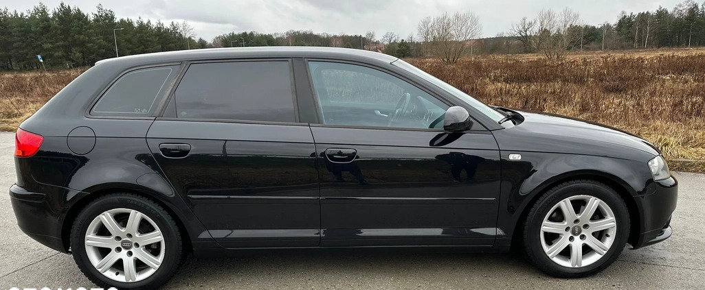 Audi A3 cena 16500 przebieg: 261200, rok produkcji 2005 z Żagań małe 172